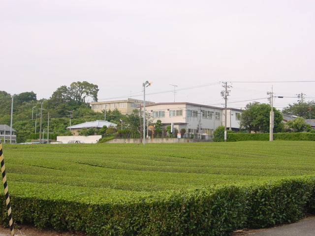 20200623090928